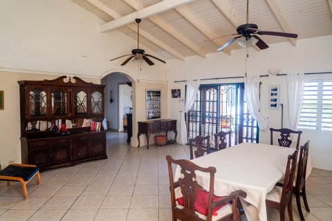 4 bedrooms Villa in Basseterre, Saint Kitts and Nevis No. 61476 5