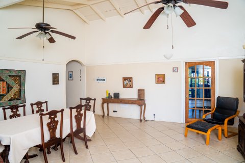 4 chambres Villa à Basseterre, Saint Kitts and Nevis No. 61476 6