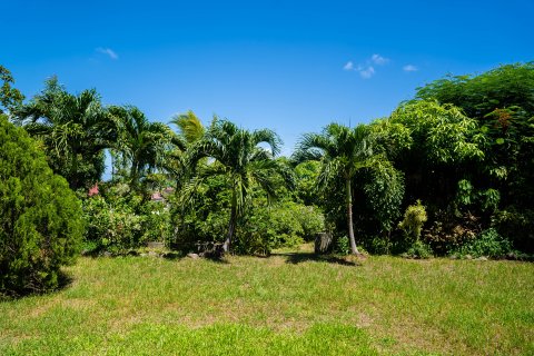 4 bedrooms Villa in Basseterre, Saint Kitts and Nevis No. 61476 16