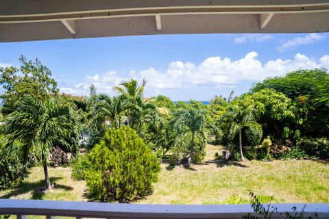 4 bedrooms Villa in Basseterre, Saint Kitts and Nevis No. 61476 14