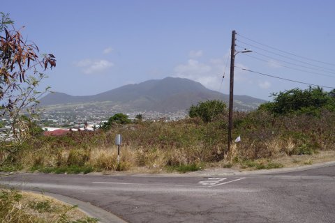 1029.37m² Land in Basseterre, Saint Kitts and Nevis No. 61473 3