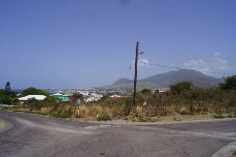 1029.37m² Land in Basseterre, Saint Kitts and Nevis No. 61473 2