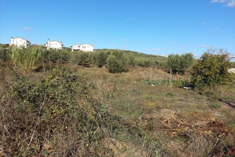 840m² Land in Chalkidiki, Greece No. 60581 1