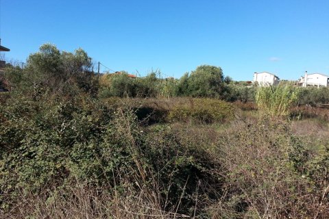 840m² Land en Chalkidiki, Greece No. 60581 4