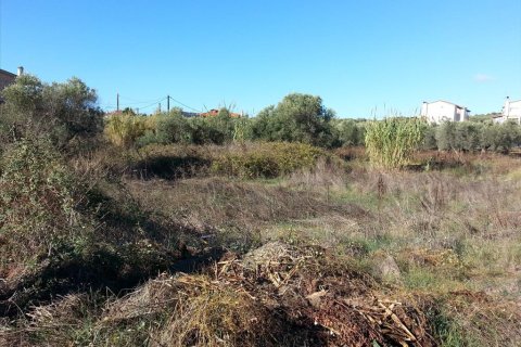 840m² Land à Chalkidiki, Greece No. 60581 3