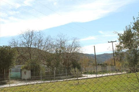 15000m² Land in Chalkidiki, Greece No. 60580 6