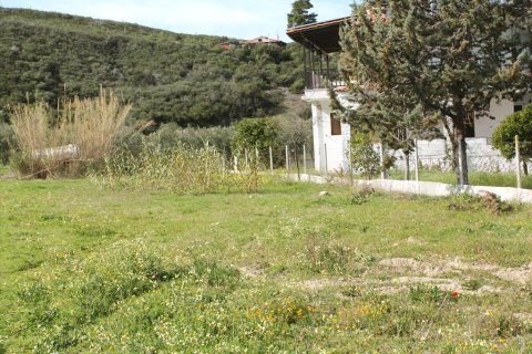 15000m² Land en Chalkidiki, Greece No. 60580 1