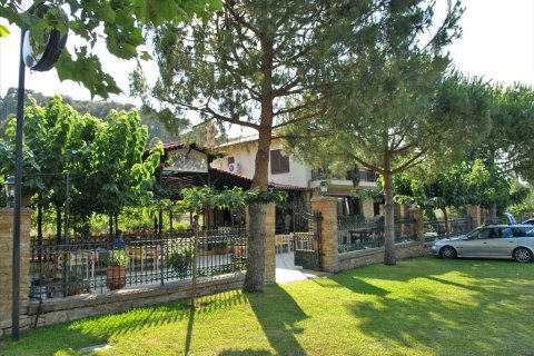 400m² Negocio en Chalkidiki, Greece No. 60582 9