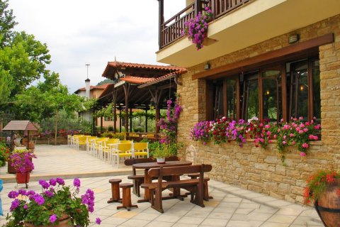 400m² Negocio en Chalkidiki, Greece No. 60582 1