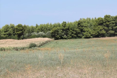 36000m² Land in Chalkidiki, Greece No. 60578 1