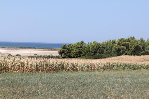 36000m² Land en Chalkidiki, Greece No. 60578 7