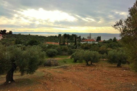 6460m² Land à Chalkidiki, Greece No. 58378 1