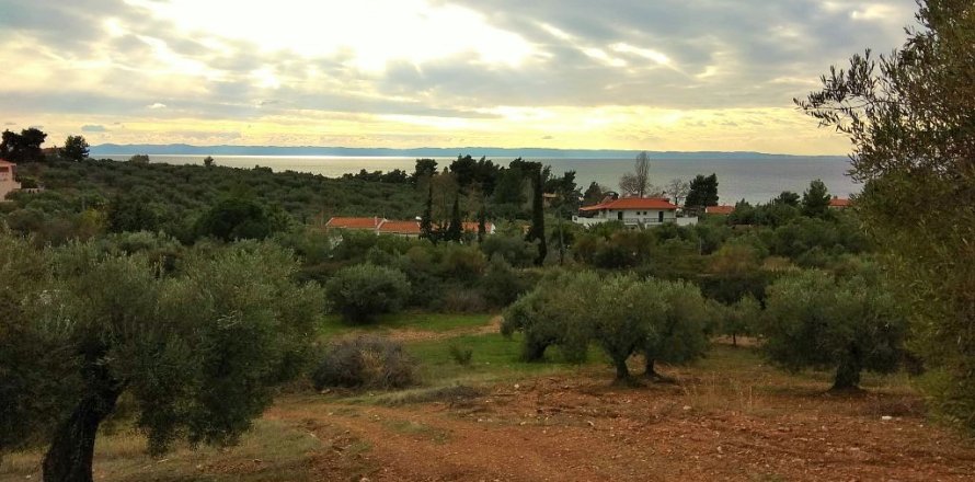 6460m² Land in Chalkidiki, Greece No. 58378