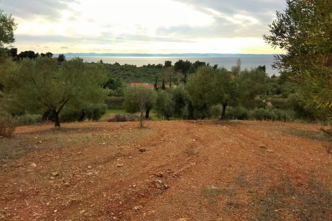 6460m² Land in Chalkidiki, Greece No. 58378 5