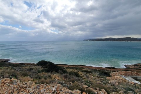 13569m² Land en Agios Nikolaos, Greece No. 56086 1