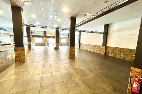 750m² Commercial property à Torrevieja, Spain No. 26645 9