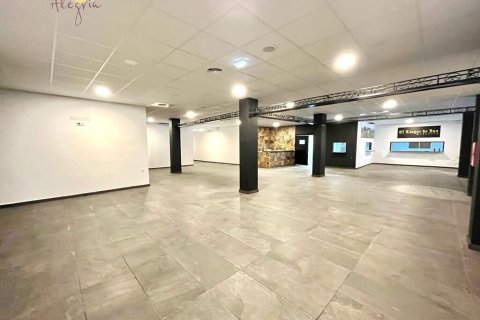 750m² Commercial property en Torrevieja, Spain No. 26645 19