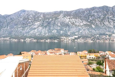 9 dormitorios House en Kotor, Montenegro No. 66738 26