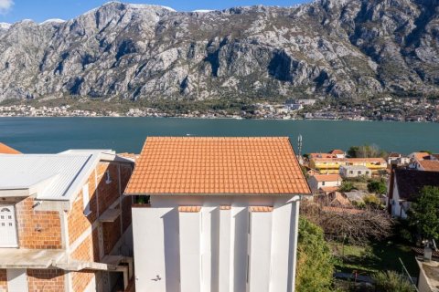 9 dormitorios House en Kotor, Montenegro No. 66738 29