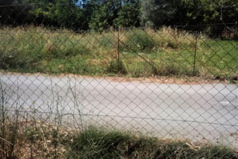 780m² Land en Lefkada, Greece No. 56812 4