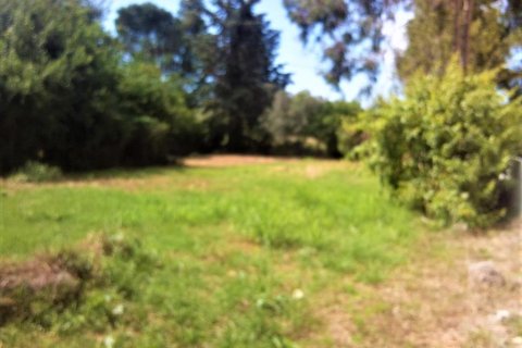 780m² Land in Lefkada, Greece No. 56812 5