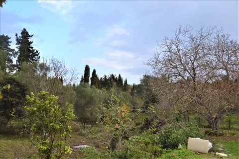 10000m² Land en Corfu, Greece No. 56811 2