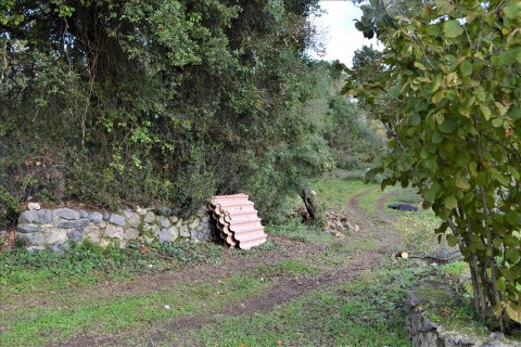 10000m² Land in Corfu, Greece No. 56811 8