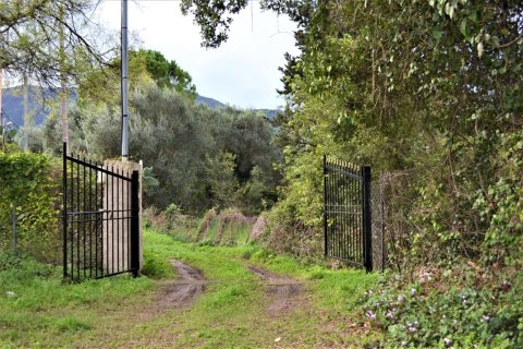 10000m² Land in Corfu, Greece No. 56811 6