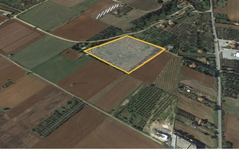 18250m² Land à Polygyros, Greece No. 56806 11