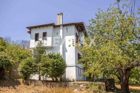 4 bedrooms House in Mouresi, Greece No. 47018 6