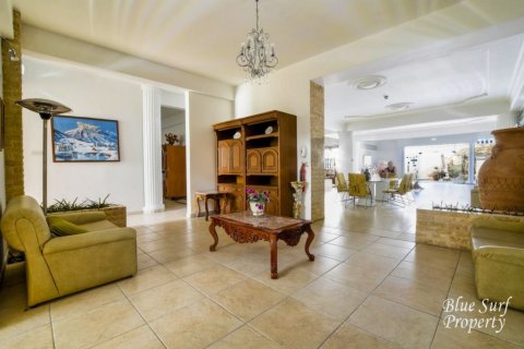 21 bedroom Villa in Deryneia, Cyprus No. 36565 12