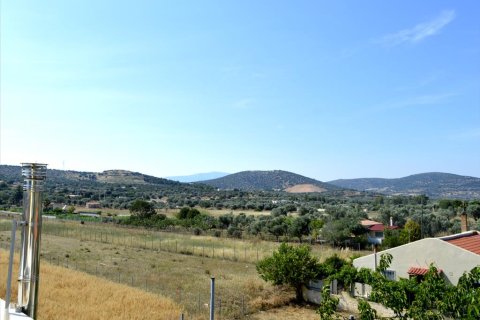 3 bedrooms House in Kalyvia Thorikou, Greece No. 58662 12