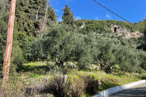 4000m² Land in Corfu, Greece No. 58654 13