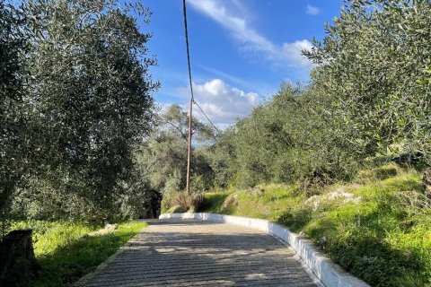 4000m² Land en Corfu, Greece No. 58654 4