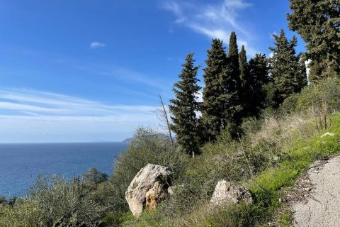 4000m² Land in Corfu, Greece No. 58654 3