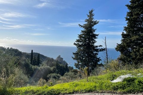 4000m² Land en Corfu, Greece No. 58654 5