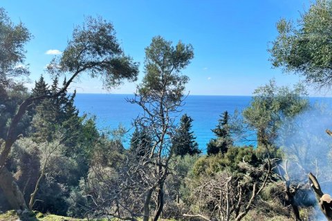 4000m² Land en Corfu, Greece No. 58654 2