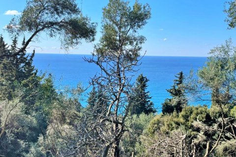 4000m² Land in Corfu, Greece No. 58654 14