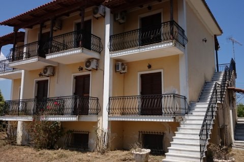 Hotel in Zakynthos, Greece No. 58646 6