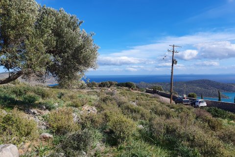 4004m² Land en Agios Nikolaos, Greece No. 55717 8