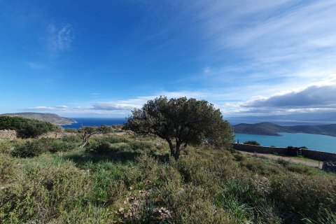 4004m² Land à Agios Nikolaos, Greece No. 55717 2