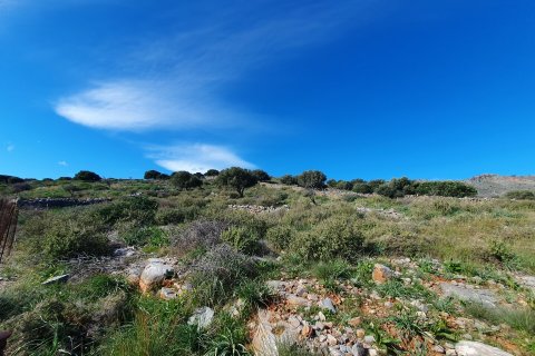 4004m² Land in Agios Nikolaos, Greece No. 55717 7