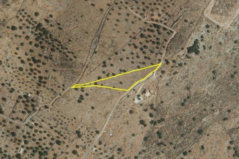 4004m² Land en Agios Nikolaos, Greece No. 55717 9