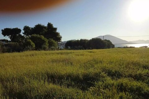 2750m² Land à Chalcis, Greece No. 54571 10