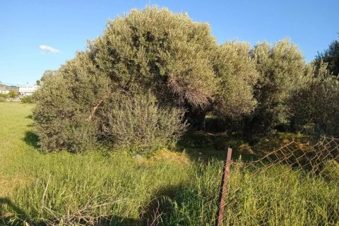 2750m² Land en Chalcis, Greece No. 54571 5