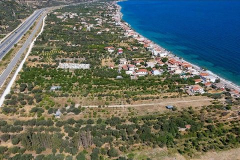 10300m² Land en Xylokastro, Greece No. 54570 3