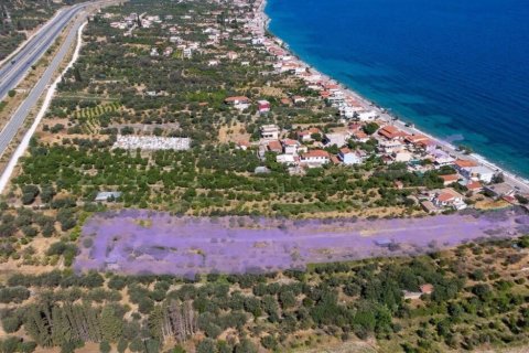 10300m² Land in Xylokastro, Greece No. 54570 4