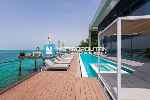 4 chambres Villa à Nurai Island, UAE No. 89864 25