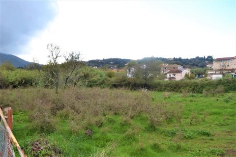 4200m² Land à Corfu, Greece No. 56830 4