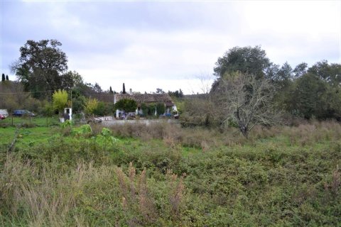 4200m² Land en Corfu, Greece No. 56830 9